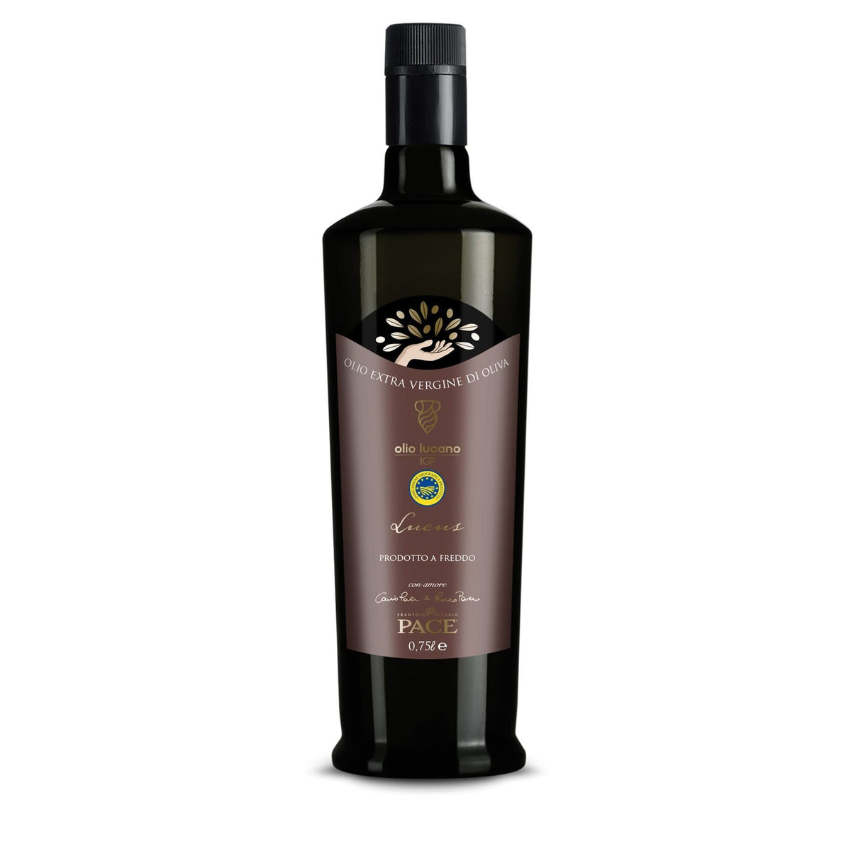 Olio Extravergine di Oliva I.G.P OLIO LUCANO