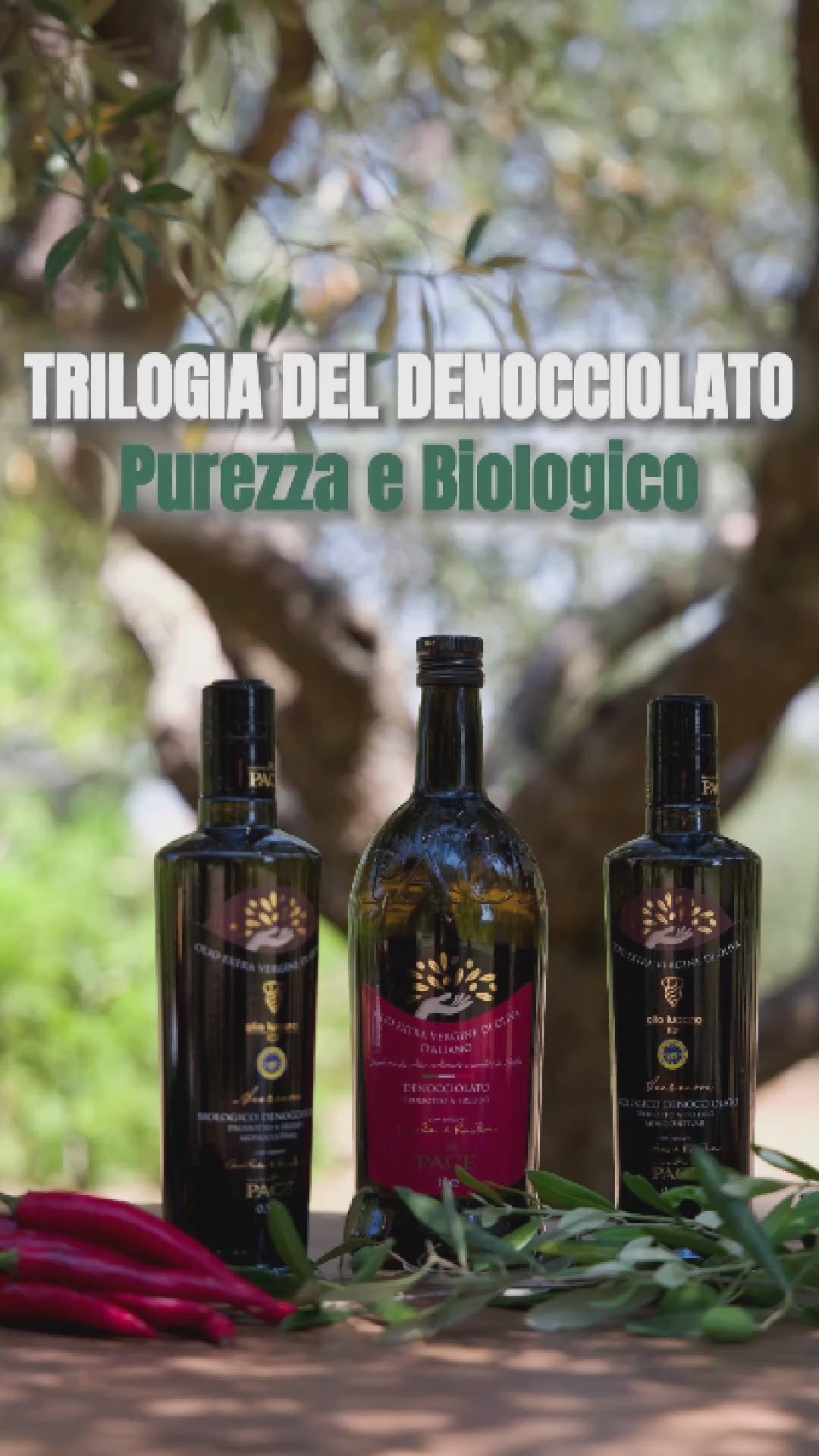 Carica video: Duo Aurum &amp; Classico